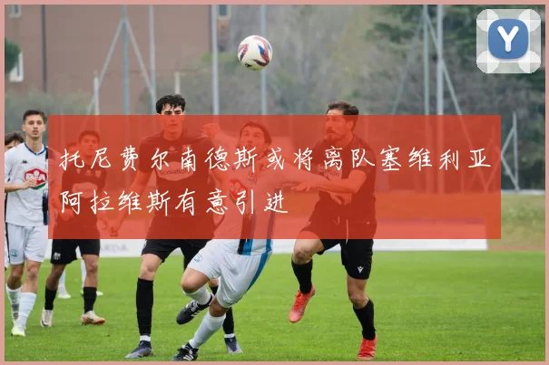 托尼费尔南德斯或将离队塞维利亚阿拉维斯有意引进