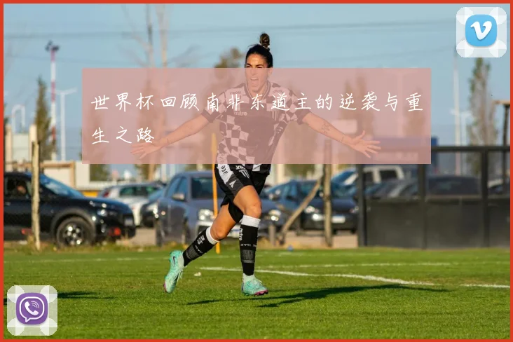 世界杯回顾南非东道主的逆袭与重生之路