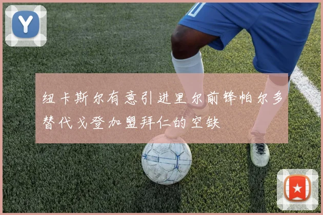 纽卡斯尔有意引进里尔前锋帕尔多替代戈登加盟拜仁的空缺