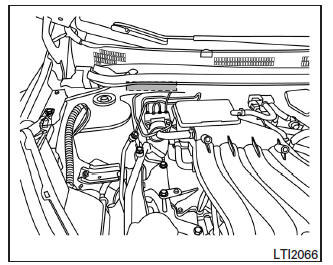 Nissan Note. Identificación del vehículo