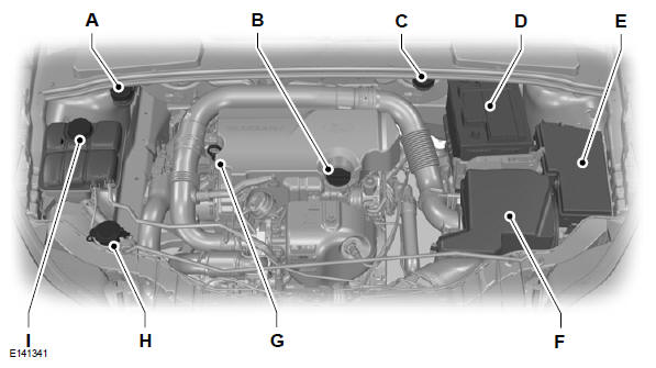 Ford Focus. Revisión del compartimiento del motor - 1.0L EcoBoost