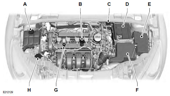 Ford Focus. Revisión del compartimiento del motor - 2.0L