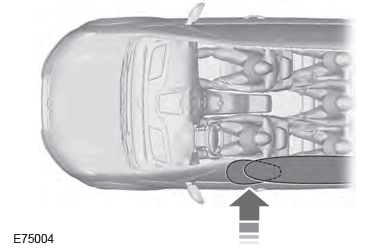 Ford Focus. Safety Canopy