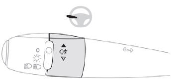 Citroen C-Elysee. Solo luz antiniebla trasera